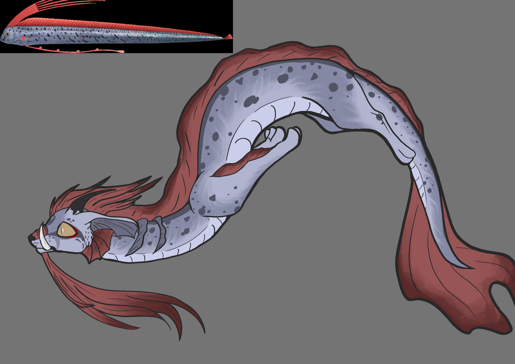 Oarfish inspired dragon